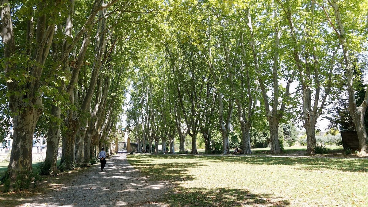 Immobilier à La Torse : préparer son estimation
